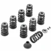Harley Davidson Screamin Eagle Performance Ventilfeder Kit Powertrain 7
