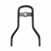 Harley Davidson Mini-Medallion Sissy Bar Rund Schwarz 10