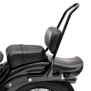 Harley Davidson Einteiliger Abnehmbarer Hoher Sissy Bar Bügel Schwarz 6