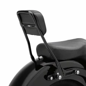 Harley Davidson Einteiliger Abnehmbarer Sissy Bar Bügel Schwarz 6