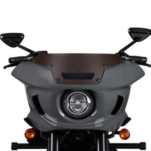 Harley Davidson ST Windabweiser Anarchy Gold 6