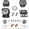 Harley Davidson Screamin Eagle Bolt-On 110″ Street Performance Kit. Schwarz Mit Highlights 10