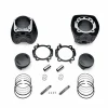 Harley Davidson Screamin Eagle Pro 117 Cui Kit, Black Highlighted 10