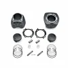 Harley Davidson Screamin Eagle Pro 117 Cui Kit, Granite Highlighted 10