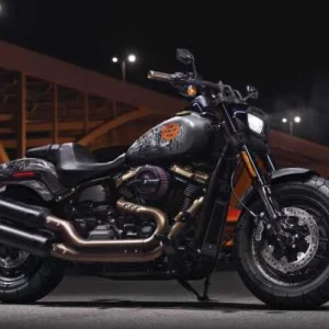 Harley Davidson Screamin Eagle Stage IV Kit 117ci Schwarz/highlights 9